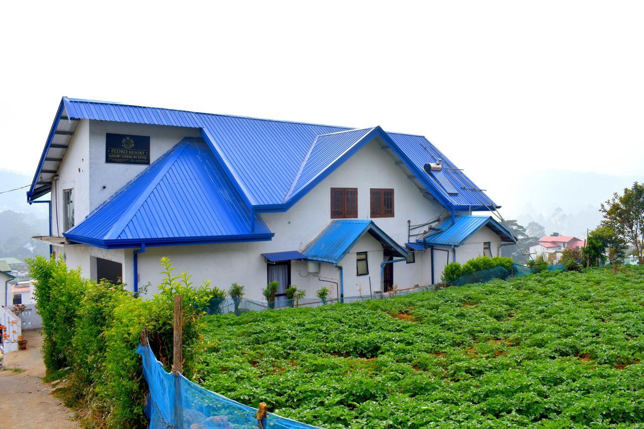 Yoho Pedro Resort Nuwara Eliya Eksteriør bilde