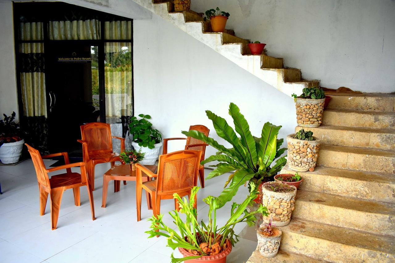 Yoho Pedro Resort Nuwara Eliya Eksteriør bilde